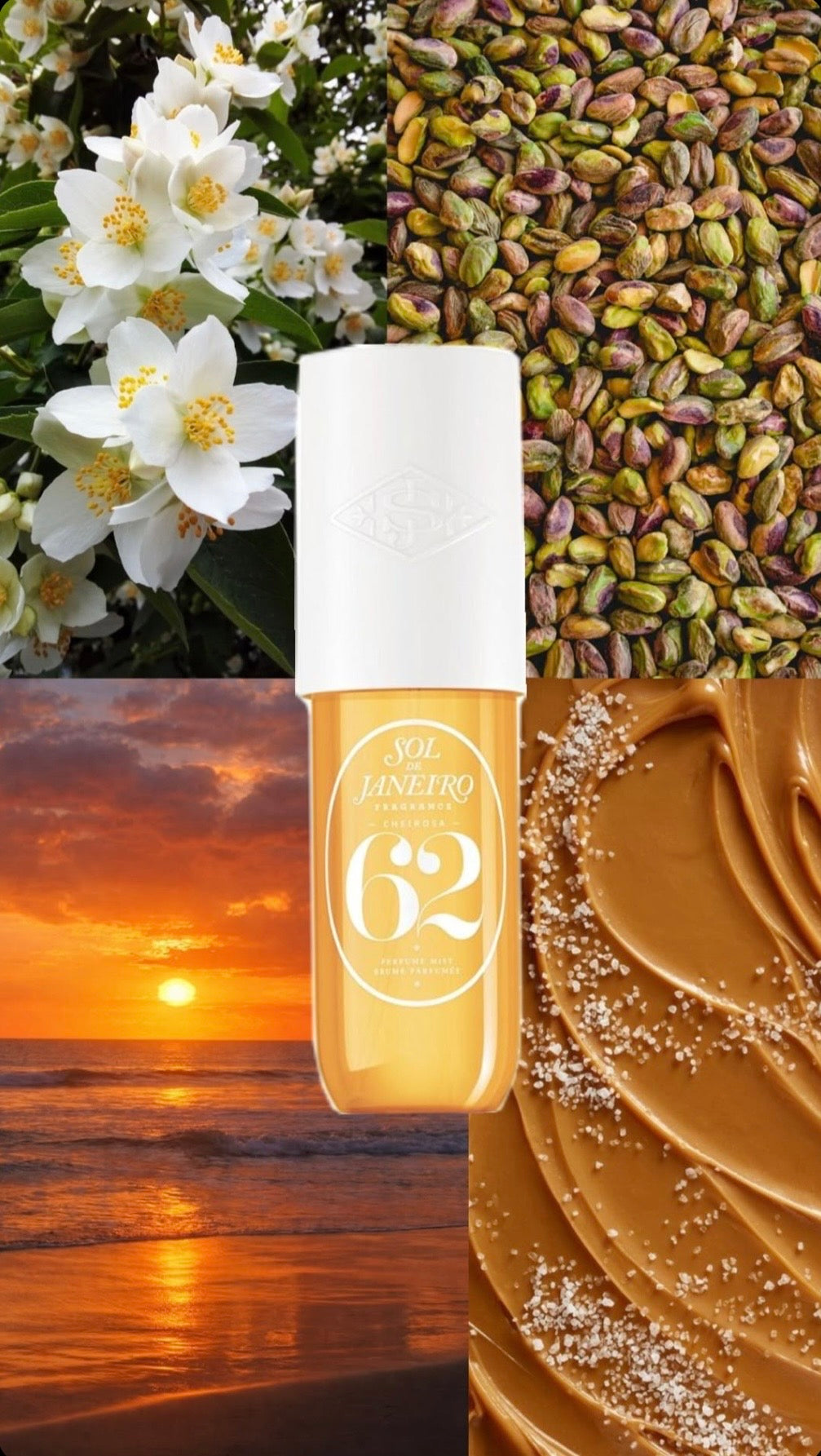 Sol de Janeiro 62