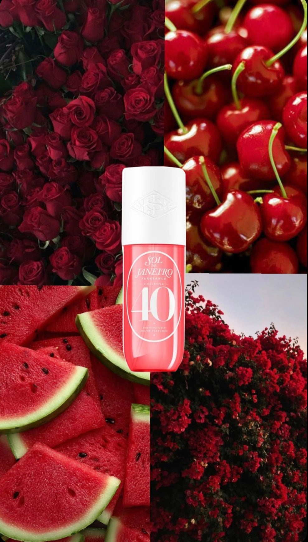 Sol de Janeiro 40 mist 90ml